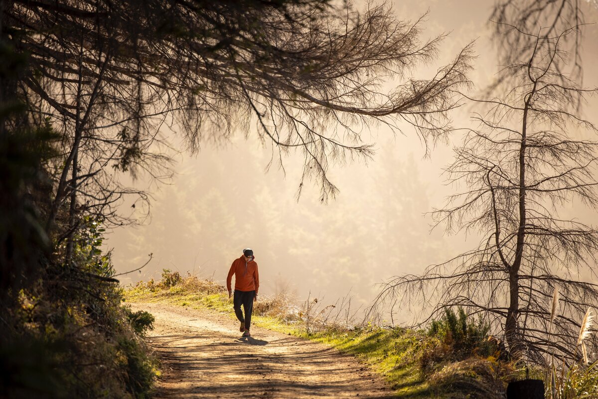 Автор фото - Stephen Leonardi.