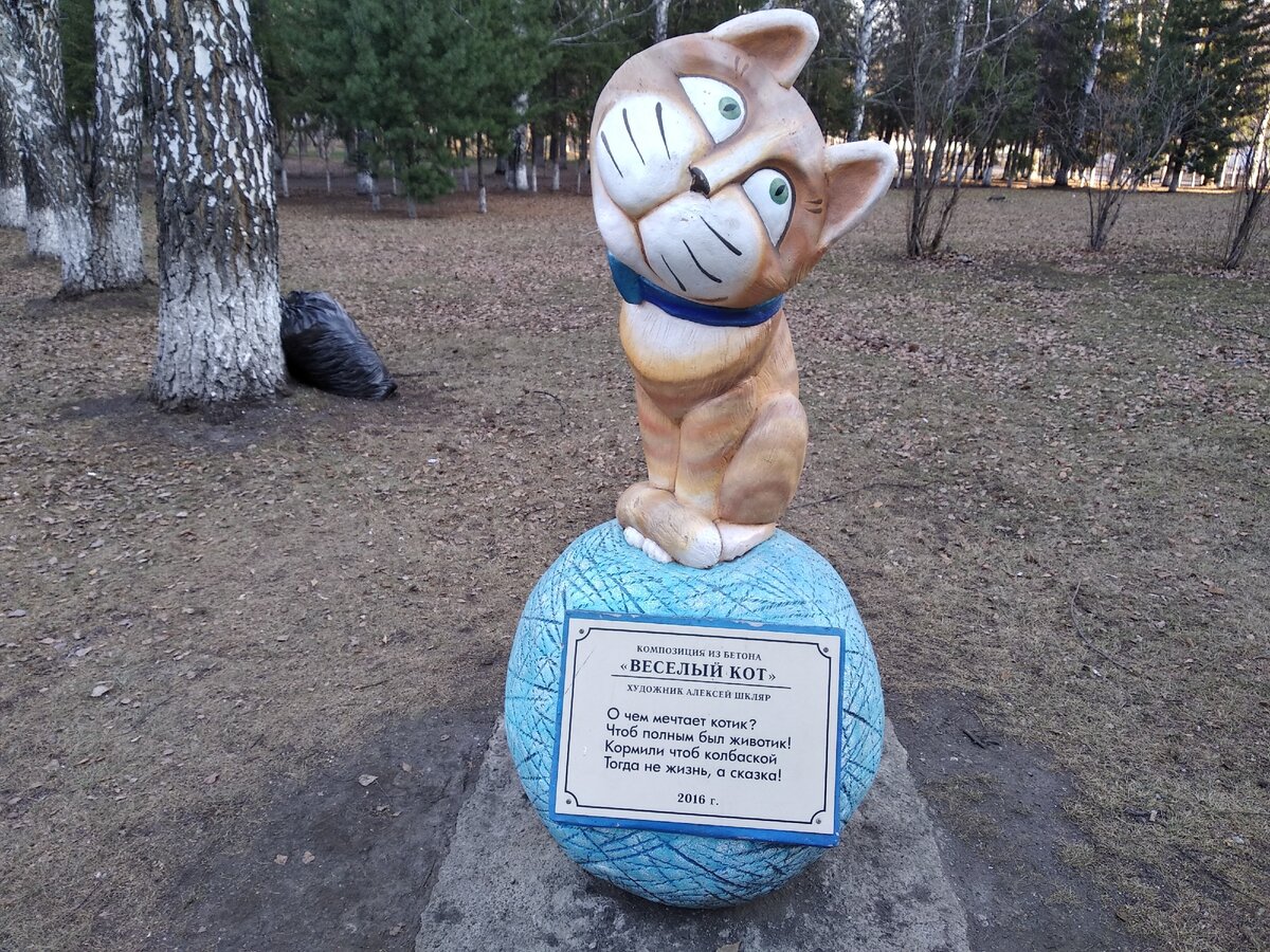 Кот возле одной из наших больниц