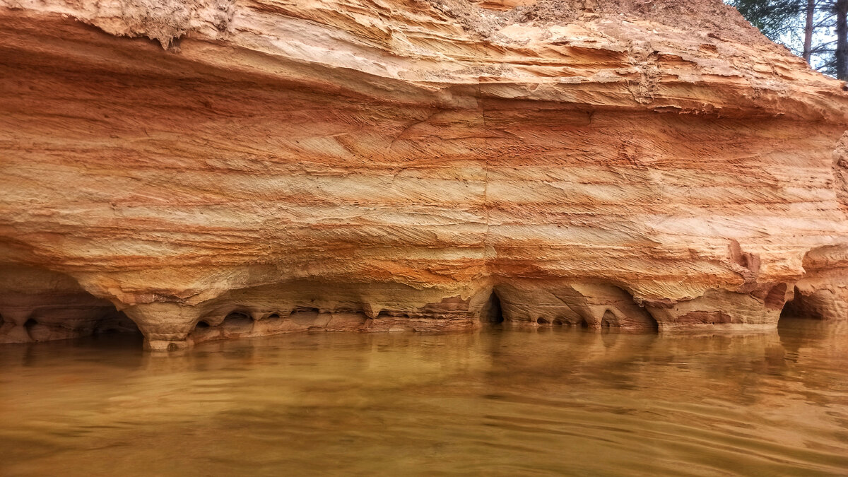 Борницкие карьеры гатчинский район фото