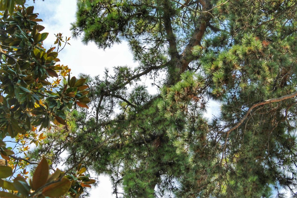 ФОТО АВТОРА. Листайте дальше