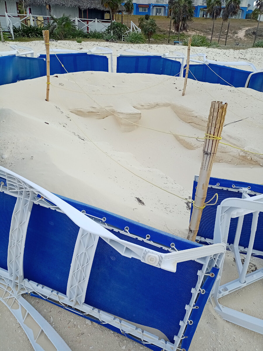 огорженная яма на пляже