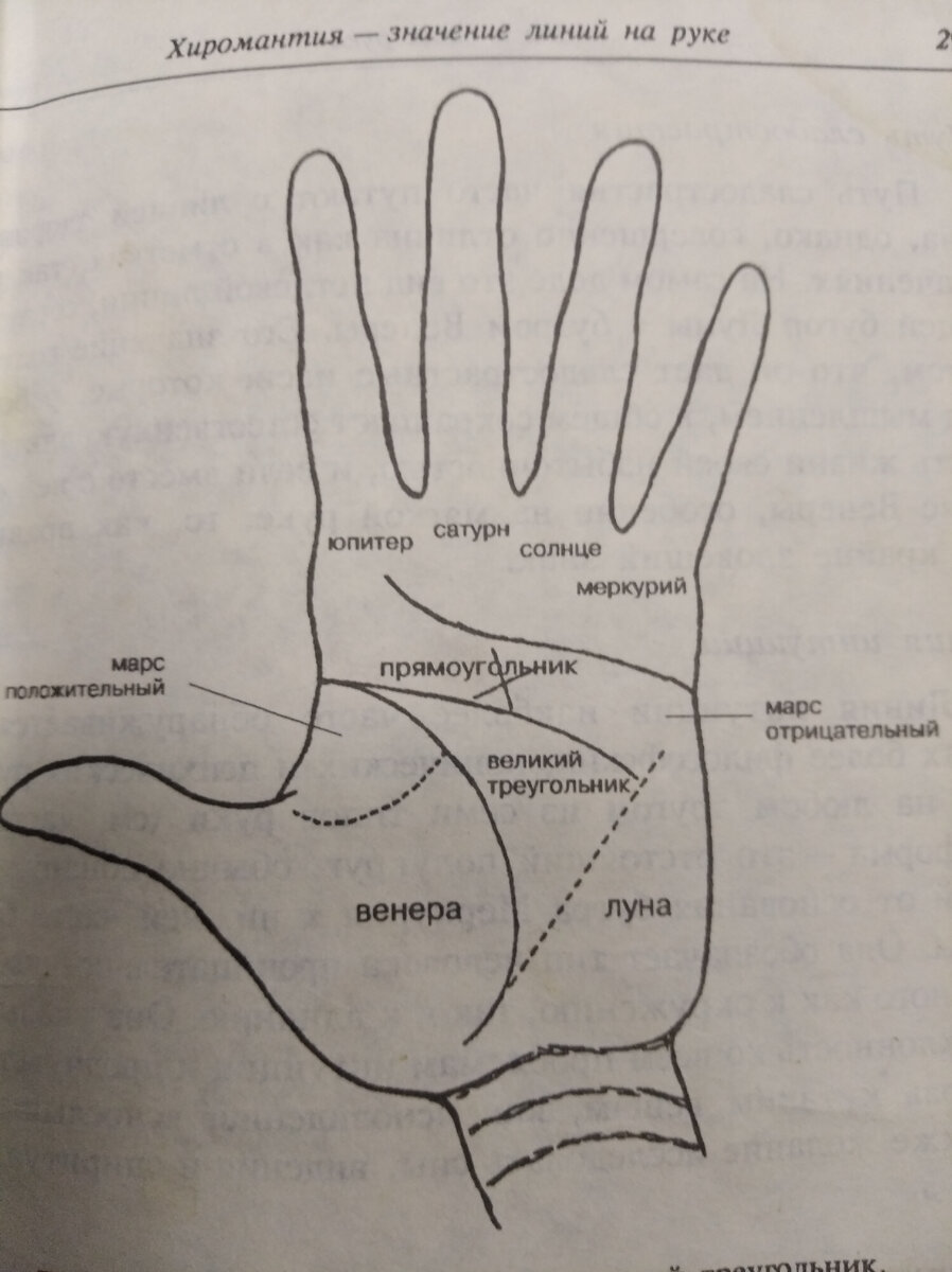 Хиромантия по руке с разъяснениями. Холм Сатурна хиромантия. Хиромантия бугор Сатурна. Хиромантия холмы и линии. Рука Лакомки хиромантия.