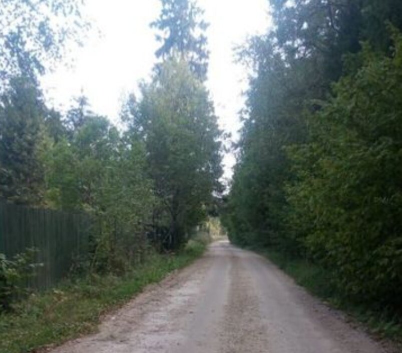 Фото из интернета 