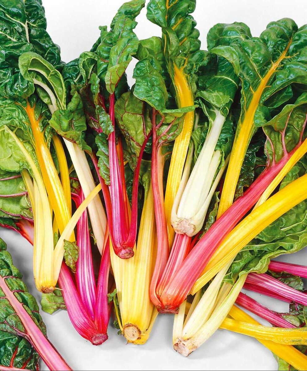 Подписывайтесь на мой канал!