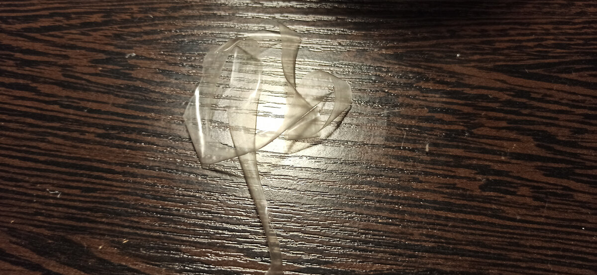 Отрезок ленты