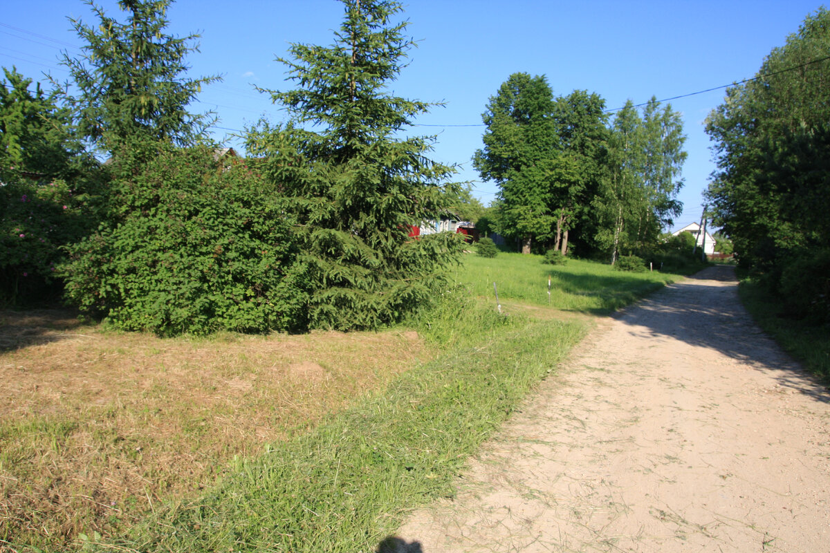 выкошенная муниципальными службами подъездная дорога, фото автора