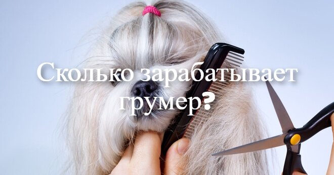 Профессиональный грумер представляет собой квалифицированного специалиста, который осуществляет гигиенический уход за животными. Мастер поддерживает здоровое и красивое состояние кожи, шерсти, зубов и ушей домашнего любимца.