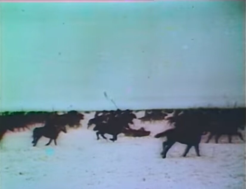 В годы войны сильный и выносливый вороной жеребец стал верным другом бойцам 112-й Башкирской кавалерийской дивизии. За четыре года на войне Керчь прошел боевой путь от Урала до Берлина и дважды был ранен.