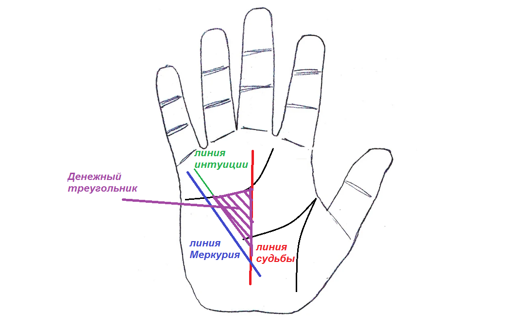 Линии ладоней треугольники. Линия Меркурия линия судьбы треугольник. Хиромантия денежный треугольник. Линия интуиции. Линия интуиции на ладони.
