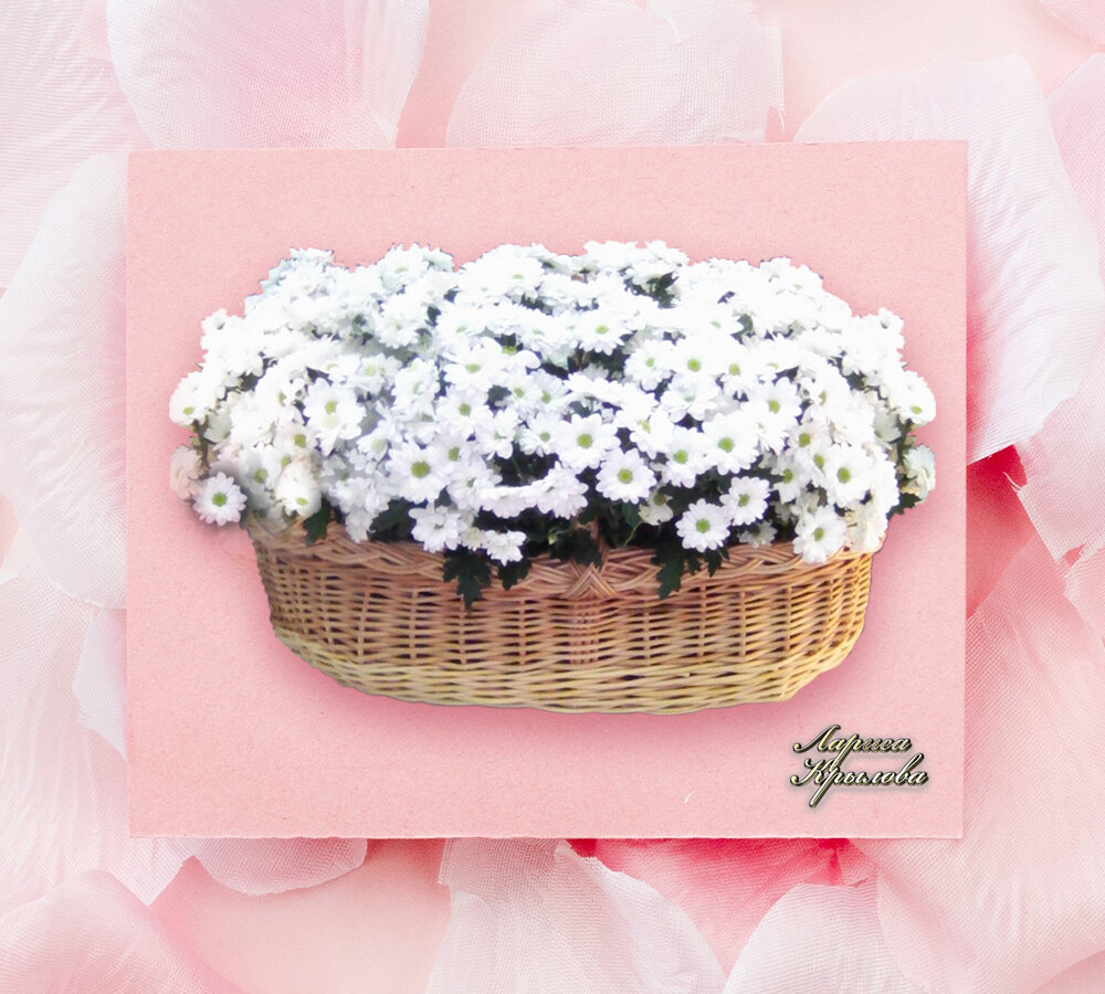 фото из личного архива