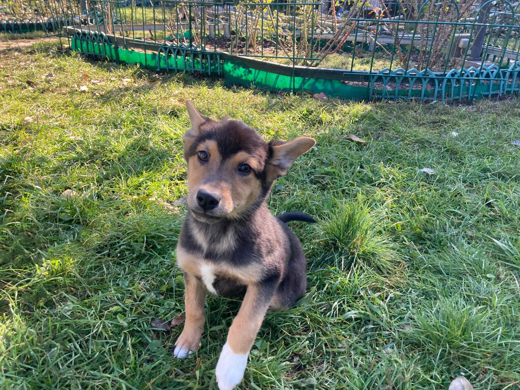 Трогательная Малышка, Джульетта. Сегодня.