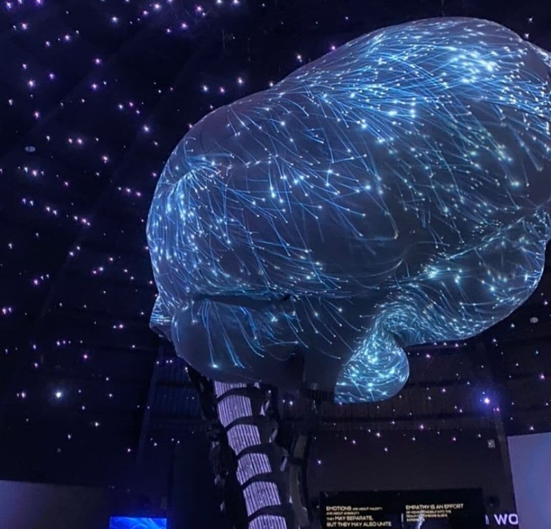 Павильон рассказывает о значении мозга человека и животных