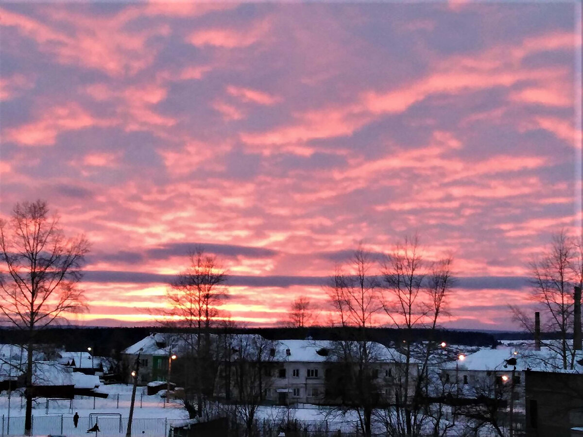   Вид из моего окна. 