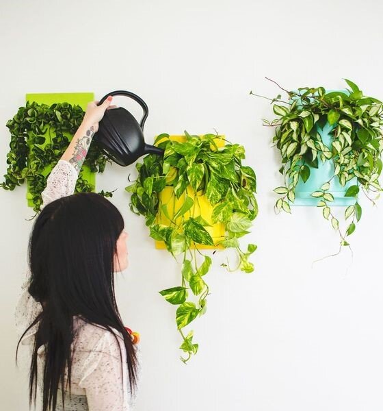 Источник фото - https://www.pinterest.ru/pin/763149099362565492/