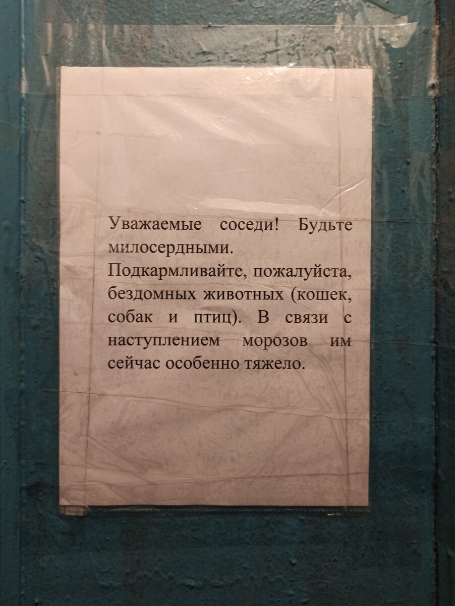 Такую "петицию" я сочинил и распечатал на работе. Вечером, после работы, мы с женой прикрепили её к двери в нашем подъезде.