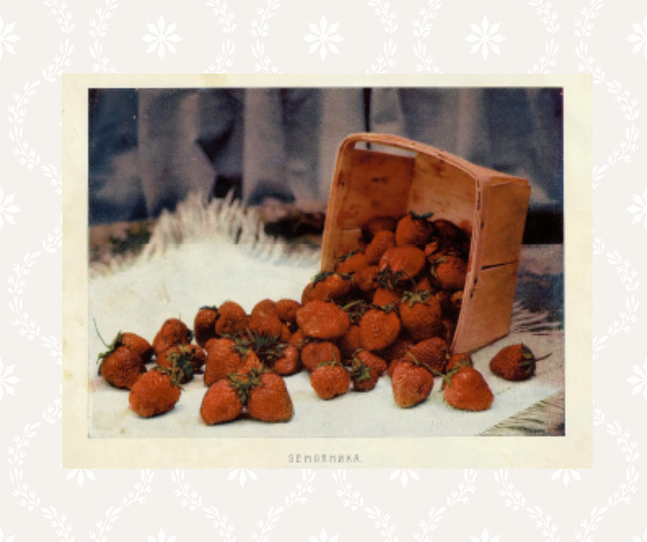 В журнале печатались раскрашенные фото вполне пристойного качества