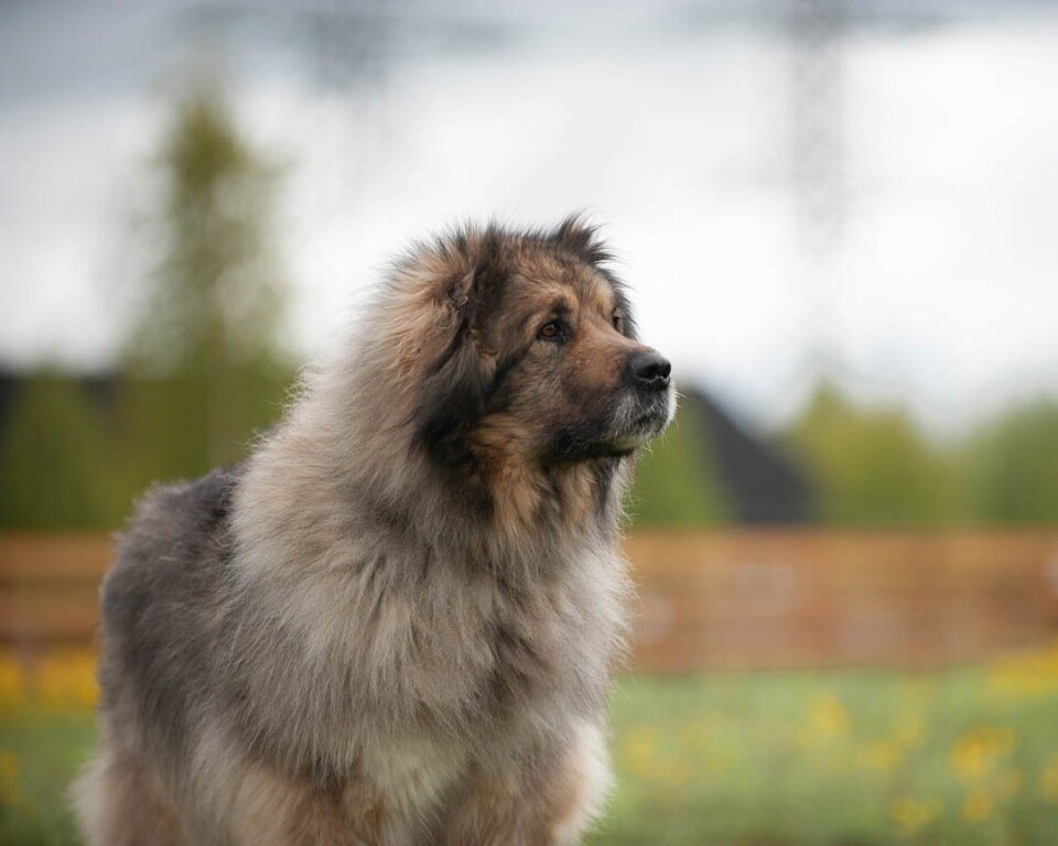 Фото из свободных источников