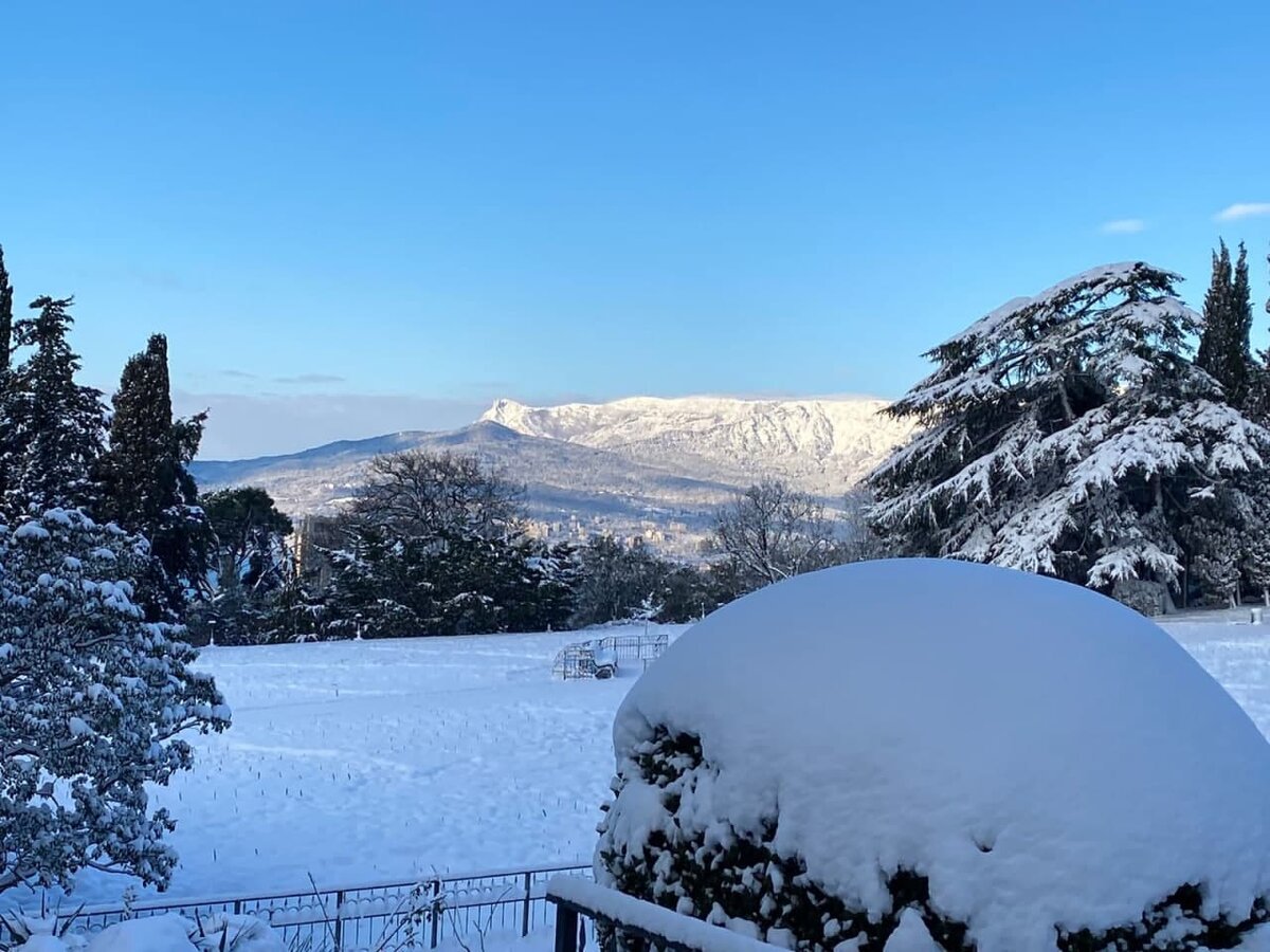 Фото с https://t.me/nikitasadru