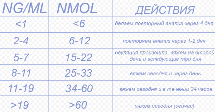 На какой день течки можно вязать собаку