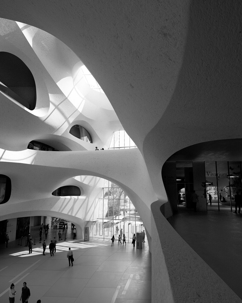 Studio Gang | Mir. | The Richard Gilder Center
