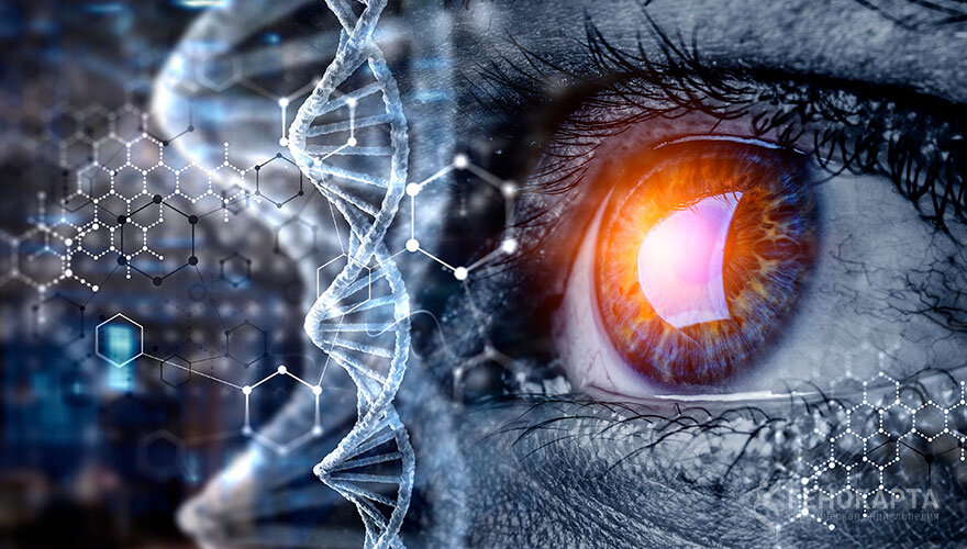 Sergey Nivens // shutterstock.com