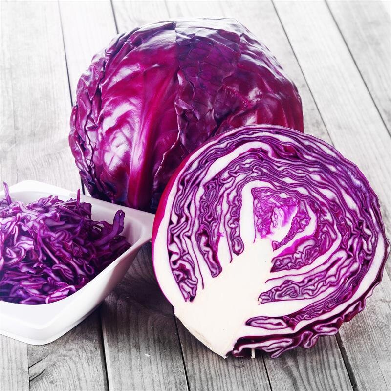 Фото из Яндекс картинки.