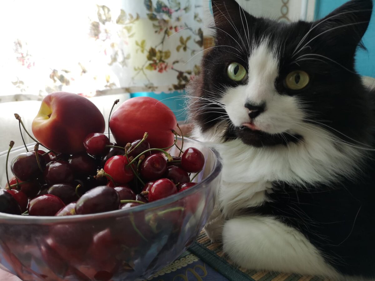 иллюстрация из яндекс картинки.