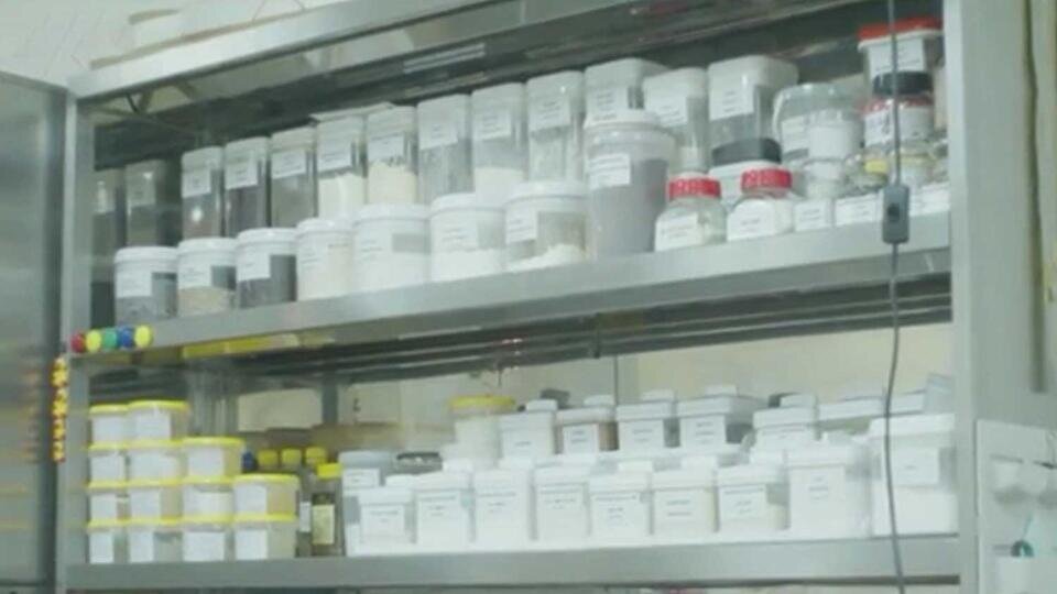 Фото: © кадр из сюжета РЕН ТВ