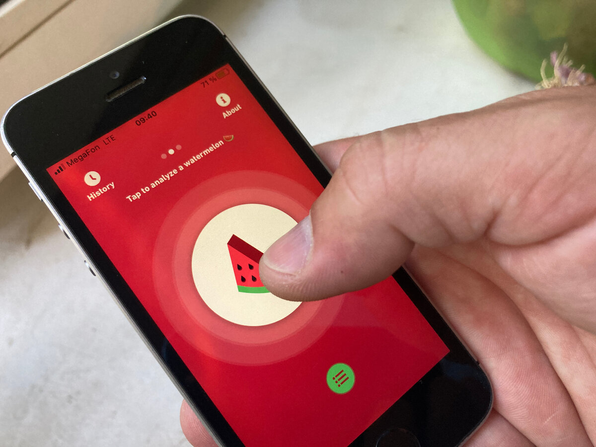 Как проверить арбуз с помощью смартфона: новый способ | Интересности | Дзен