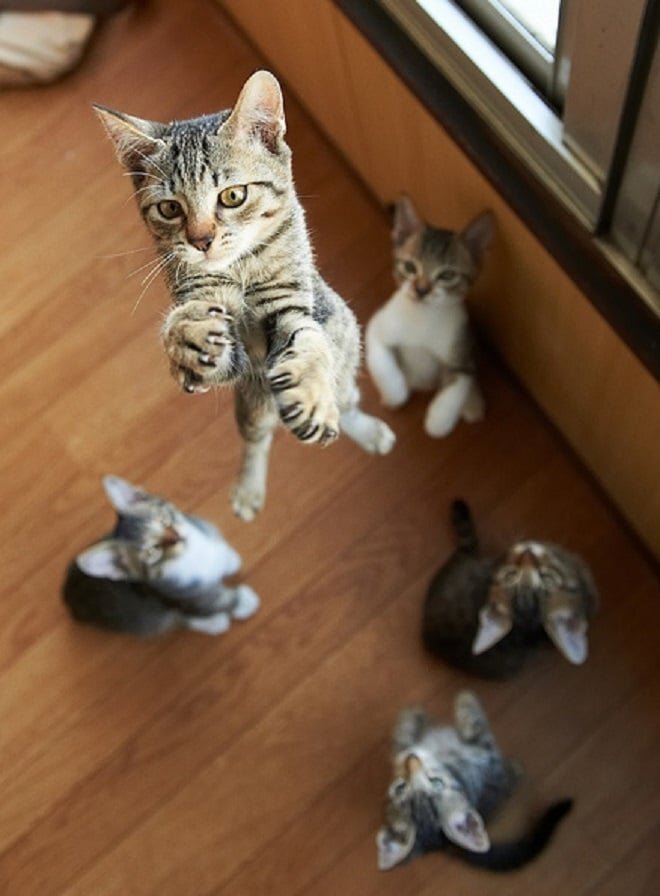 Фото из открытых источников