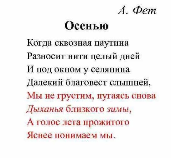 Фото из интернета 