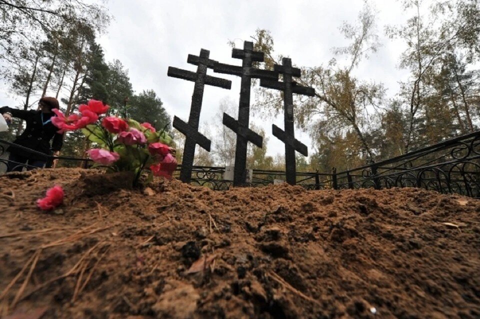     Участок на кладбище в Новочеркасске зарос травой, поверх которой лежит поваленное сухое дерево. Михаил ФРОЛОВ