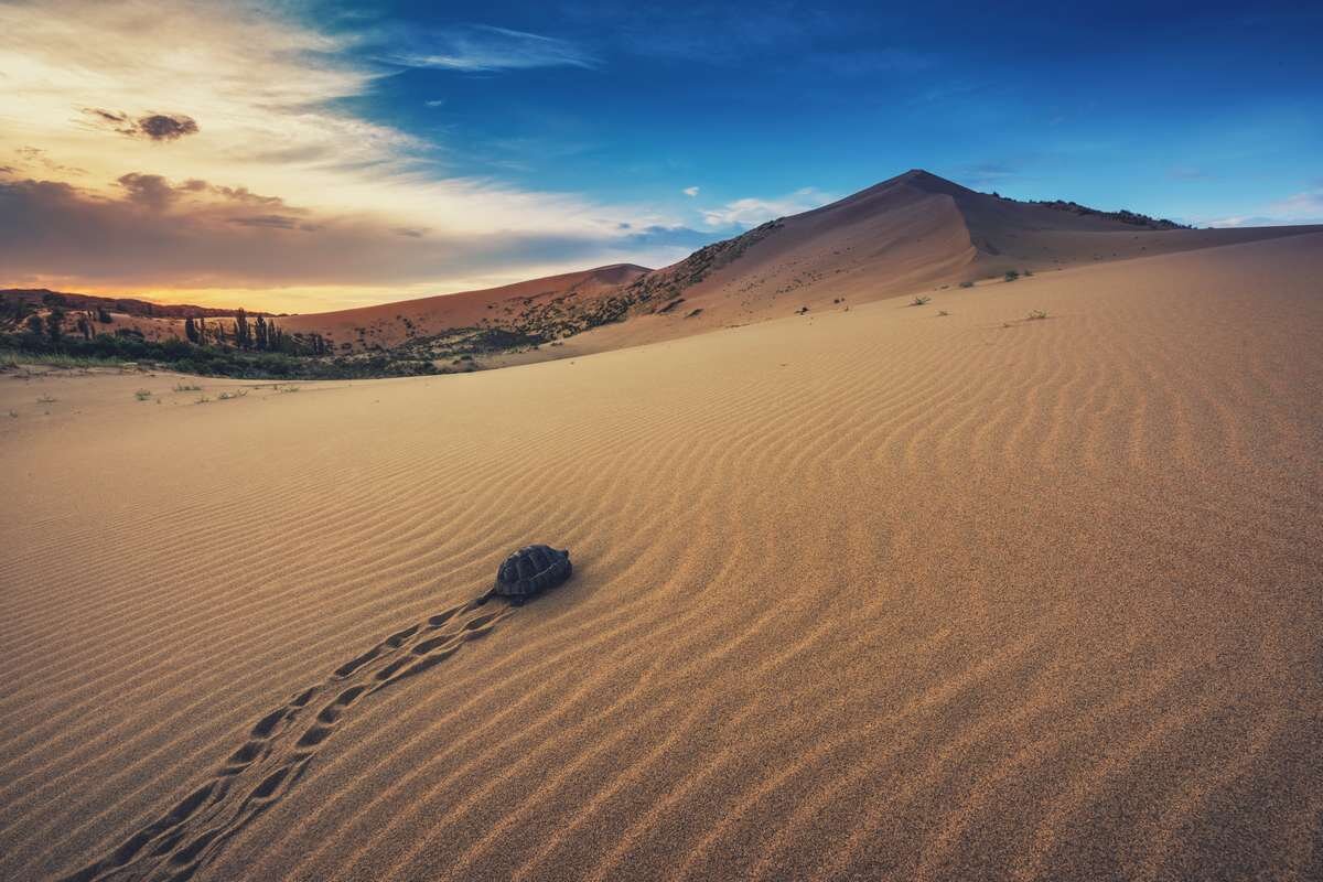 Источник Яндекс Картинки