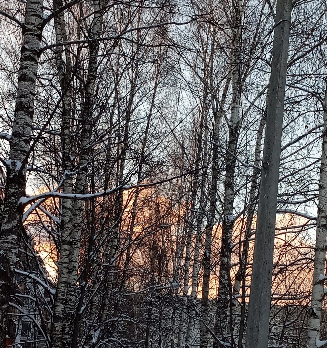 Фото с прогулки