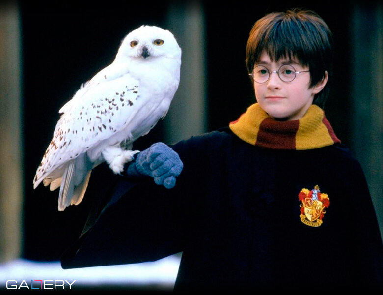 Гарри и Букля