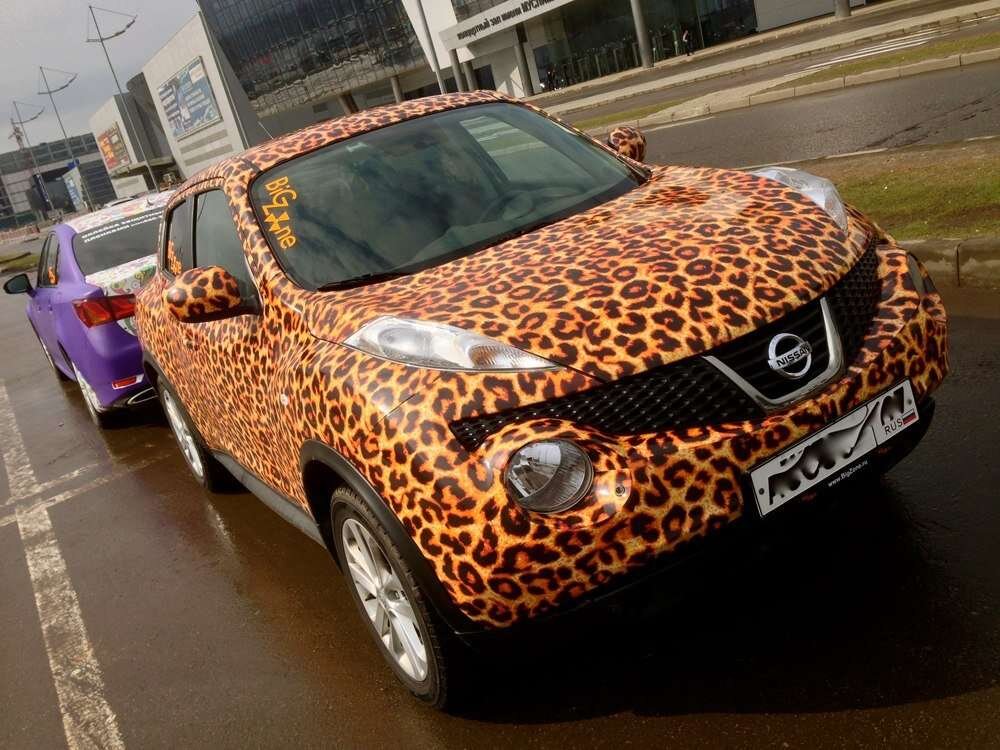 Салон леопард