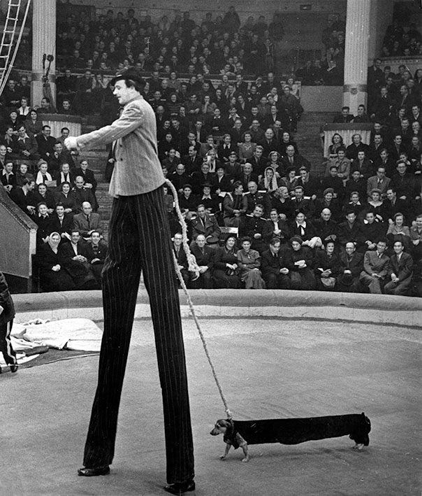 Б. П. Вяткин на арене (фото из интернета)