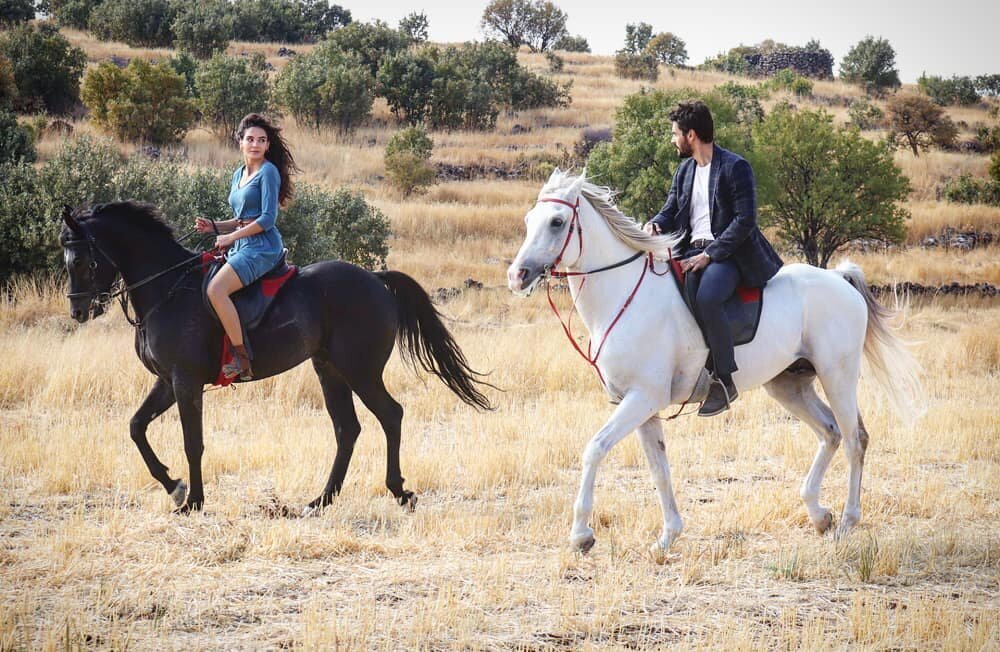 Картинки миран и раян из сериала ветреный