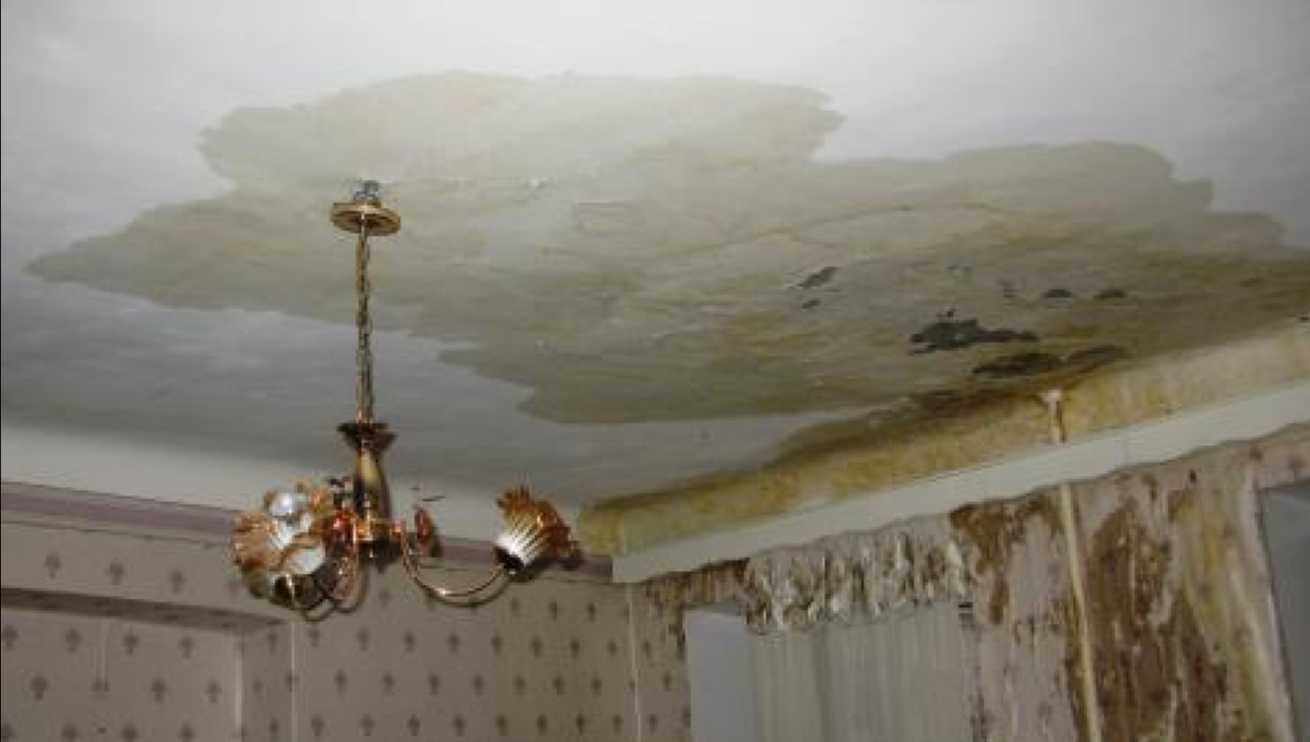 Вот так выглядит небольшой залив. Фото взято из интернета.