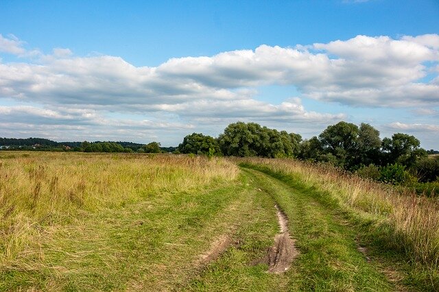 Дорога в деревню