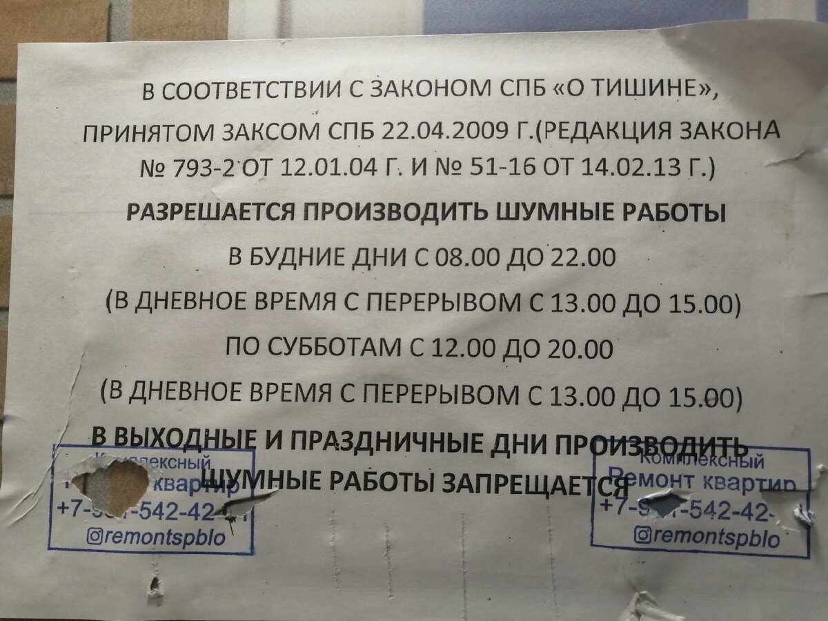 Как живётся в новостройках Петербурга: говорим про изнанку (или лицо?)  культурной столицы | Юлия Безгинова | Дзен