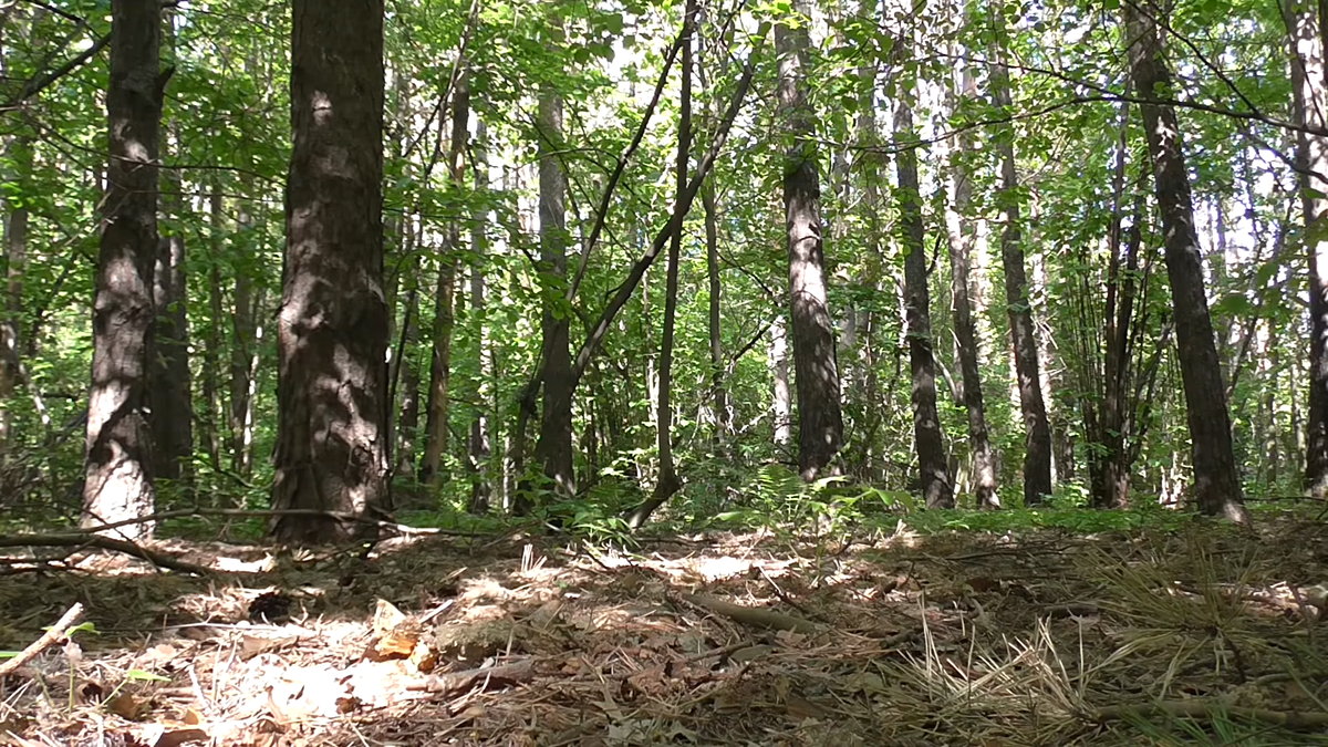 Листайте вправо