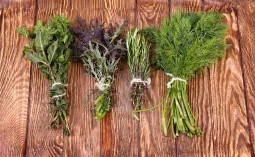 К пряным травам относят: