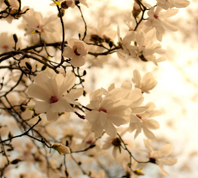 Картинка из интернет