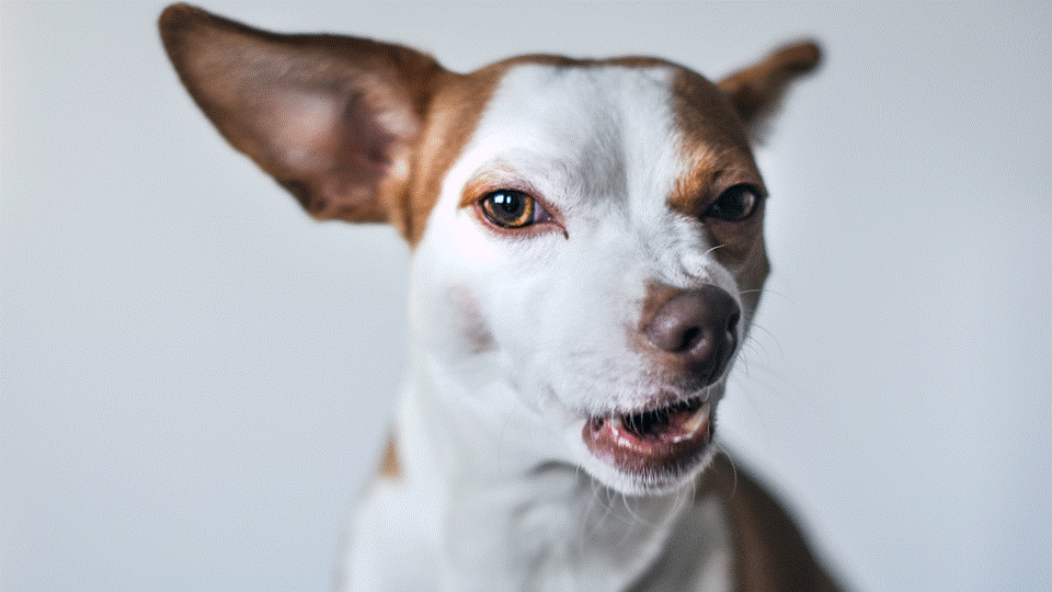Согласно исследованию Американской психологической перфекционизм может способствовать развитию тревожности, депрессивных состояний, расстройств пищевого поведения.