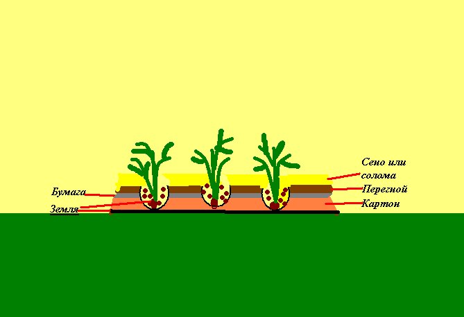 В таком "сложном бутерброде" вырастут и картошка, и кабачки
