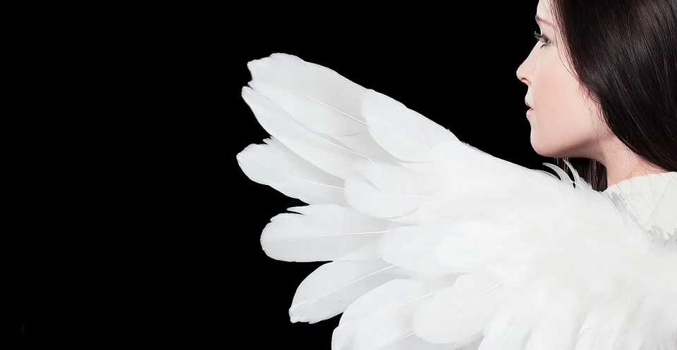https://pixabay.com/photos/angel-woman-wing-female-2939548/