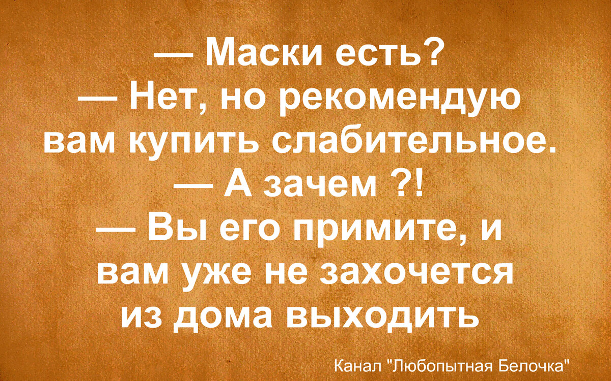 Товарищи! Крепитесь, скоро лето! Юморная подборка | Любопытная Белочка |  Дзен