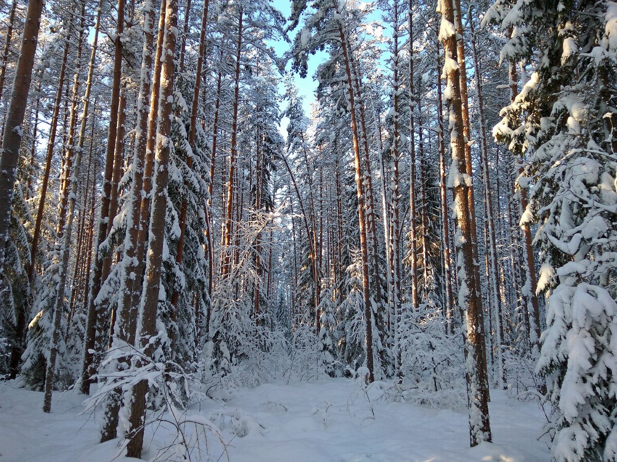 Некоторые находки в заброшке под Вырицей