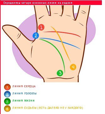 Хиромантия читать ладони рук